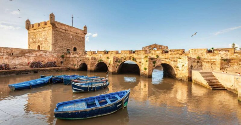 Agadir to Essaouira Trip Visit the Ancient & Historical City - Immerse in the Vibrant Medina