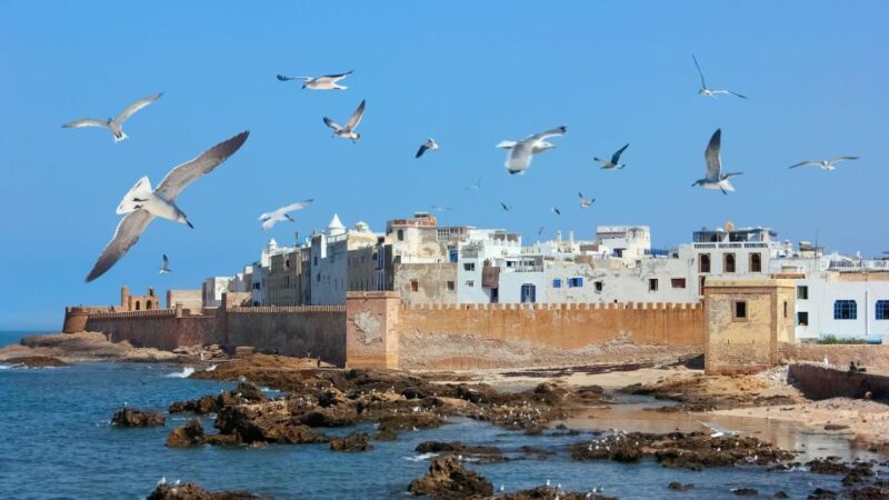 Agadir to Essaouira Trip Visit the Ancient & Historical City - Argan Oil Cooperative: Berber Womens Legacy