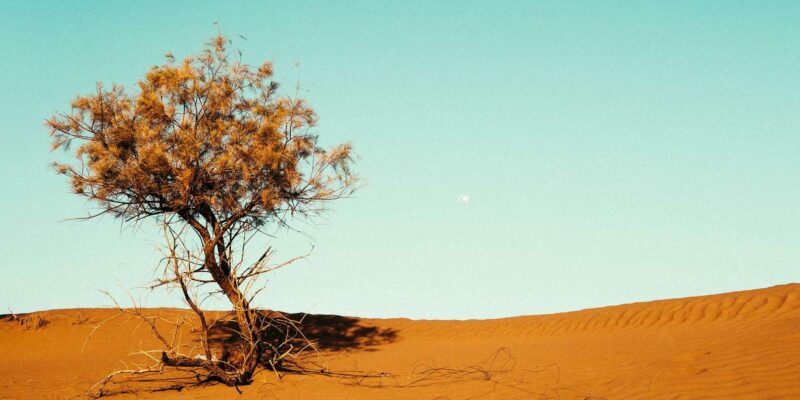 Agadir to the Magnificent Dunes of Erg Chegaga in 4 Days - Visiting the Iconic Ait Ben Haddou