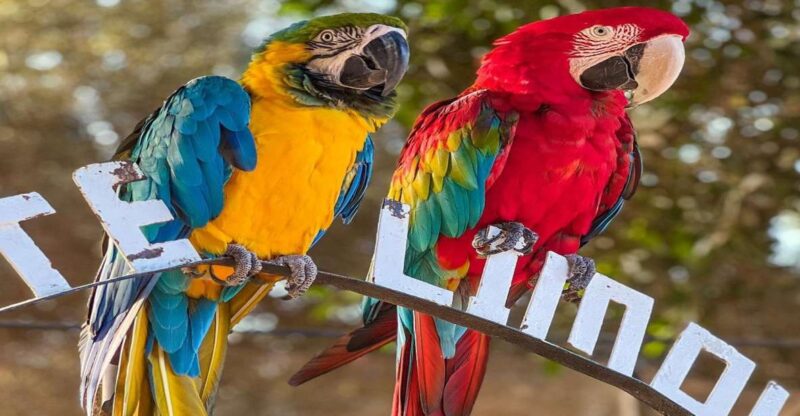 Agadir: Visit Villate Limoune Ticket & Hotel Pickup Included - Domaine Villate Limoune