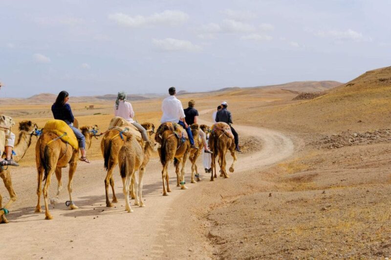 Agafay and Atlas: Quad and Camel Experience - Good To Know