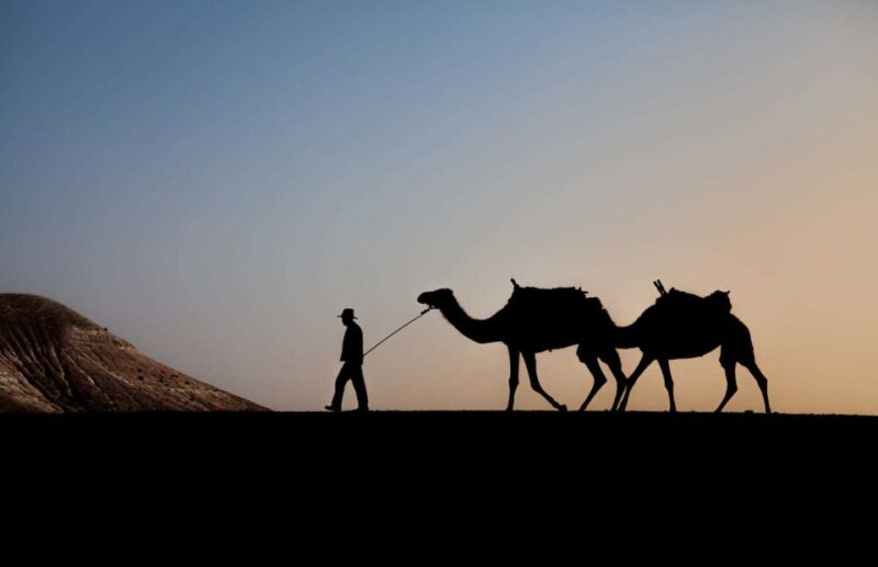 Agafay and Atlas: Quad and Camel Experience - Camel Ride Experience