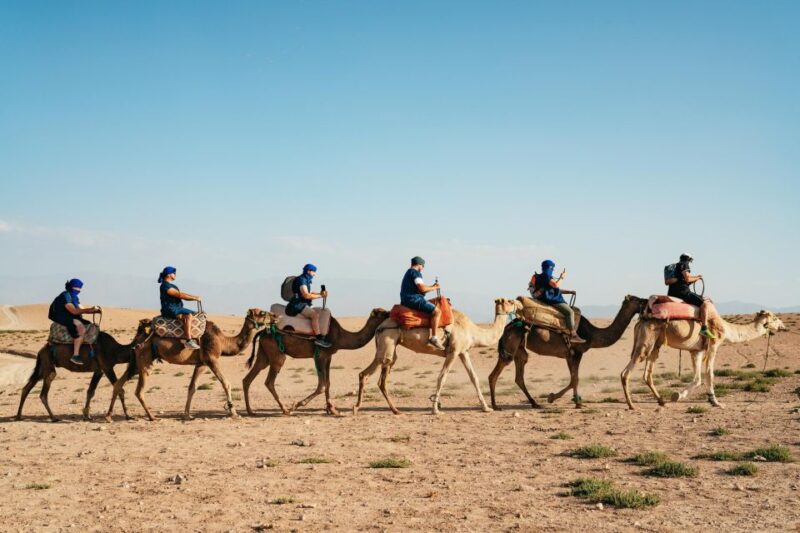 Agafay Desert Premium Dinner Under the Stars With a Show - Sunset Views and Entertainment