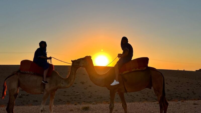 Agafay Desert Sunset Camel Ride - Good To Know
