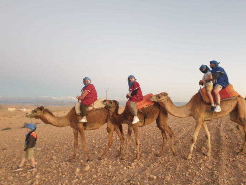 Agafay Desert Sunset Camel Ride - Experiencing Berber Culture