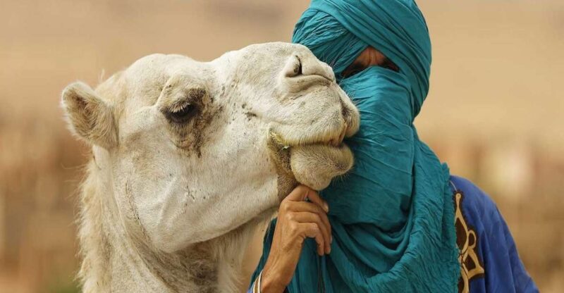 Agafay Desert Sunset Camel Ride Half Day Tour From Marrakech - Tour Overview