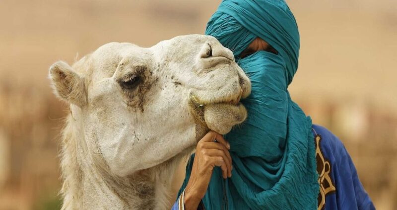 Agafay Desert Sunset Camel Ride Half Day Tour From Marrakech - Camel Riding Experience