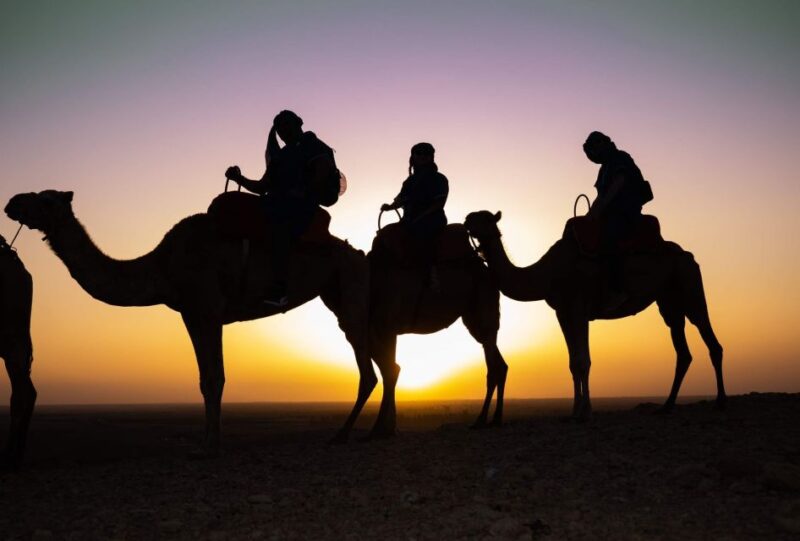 Agafay Desert Sunset Camel Ride - Good To Know