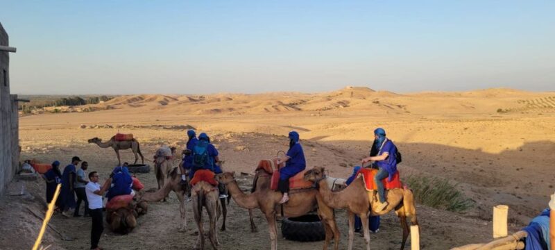 Agafay Guided Camel Riding and Dinner Under Stars - Booking Details