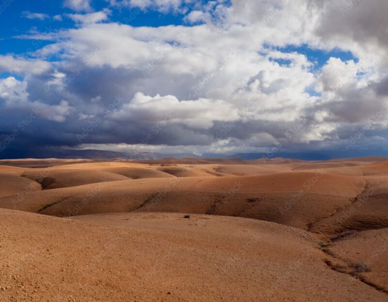 Agafay Guided Camel Riding and Dinner Under Stars - Dinner Under the Stars