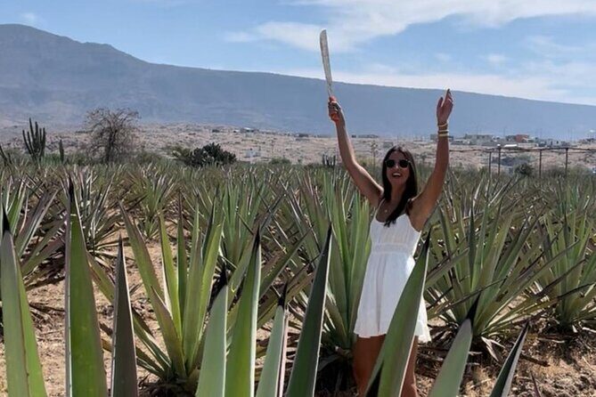 Agave Adventures Mexico - The Itinerary in Detail