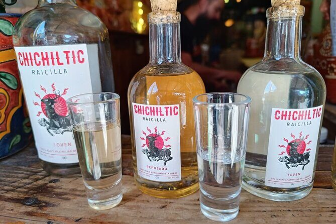 Agave drinks: Pulque, Raicilla, and Mezcal tasting in Guadalajara - The Sum Up