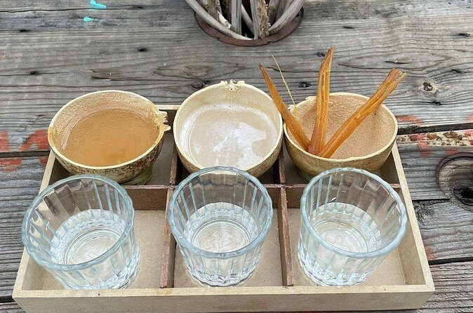 Agave Tasting Journey from Pulque to Mezcal - Who Should Book This Tour?