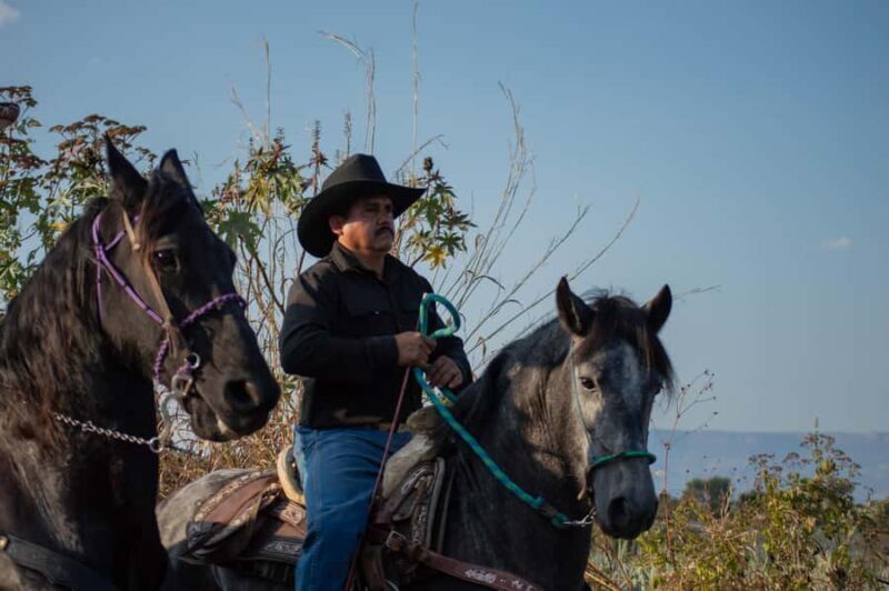 Agaves and Tequila Horseback Ride in El Arenal Jalisco - FAQs