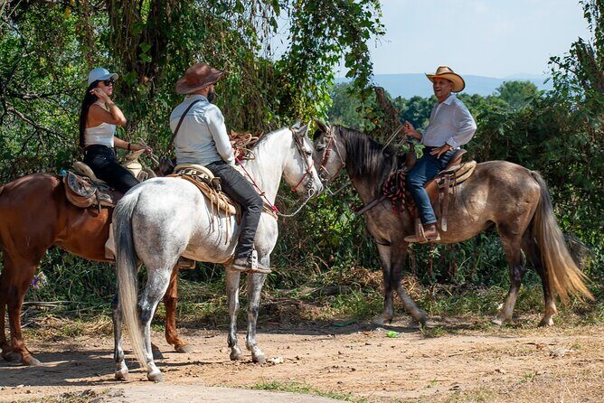 Agaves and Tequila Horseback Ride in El Arenal Jalisco - Authenticity and Cultural Insights
