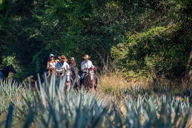 Agaves and Tequila Horseback Ride in El Arenal Jalisco - The Value for Travelers