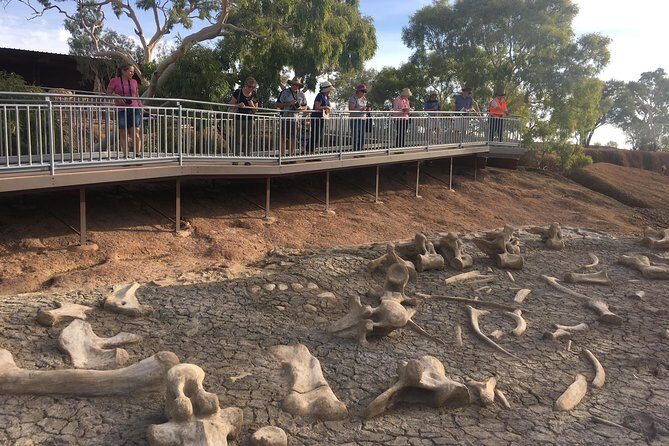 Age of Dinosaurs Museum Half Day Guided Transfer from Winton - FAQ