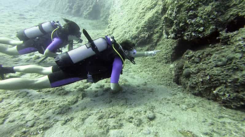 Agia Pelagia: PADI Open Water Diver International Course - Agia Pelagia: PADI Open Water Diver International Course — A Complete Guide
