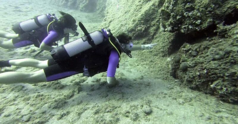 Agia Pelagia: PADI Open Water Diver International Course - Diving Conditions and Locations