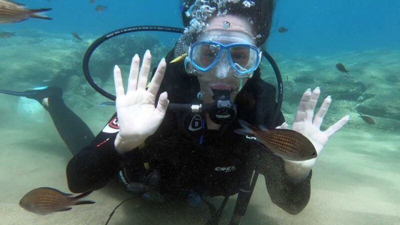 Agia Pelagia: PADI Open Water Diver International Course - Practical Details That Make a Difference