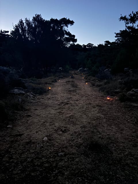 Agios Nikolaos: Forest Yoga and Hiking Experience - Agios Nikolaos: Forest Yoga and Hiking Experience – A Deep Dive