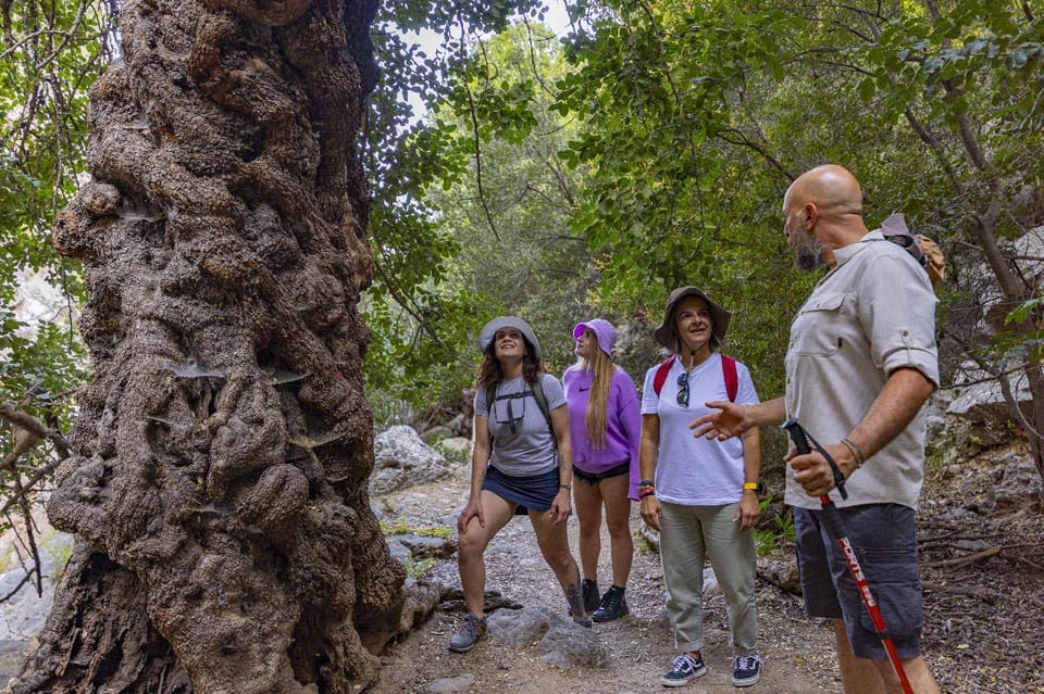 Agios Nikolaos: Forest Yoga and Hiking Experience - FAQ