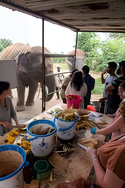 Agra: Taj Mahal, Agra & Elephant SOS Full or Half Day Tour - Full-Day Tour Itinerary