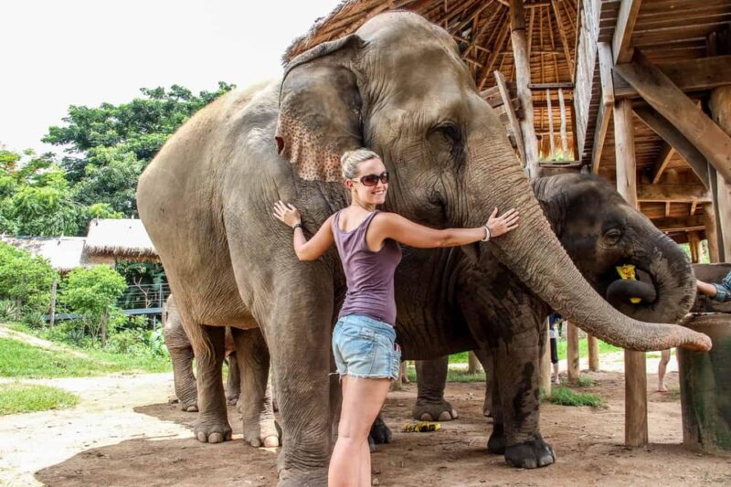 Agra: Taj Mahal and Elephant SOS Full or Half Day Tour - Itinerary and Highlights