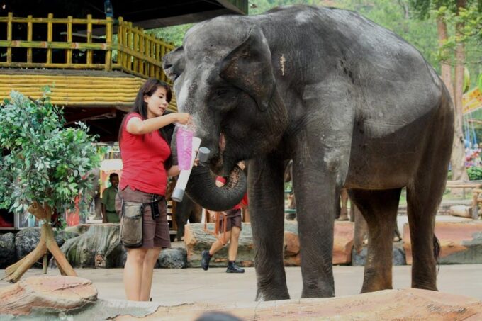 Agra: Taj Mahal and Elephant SOS Half or Full Day Experience - Frequently Asked Questions