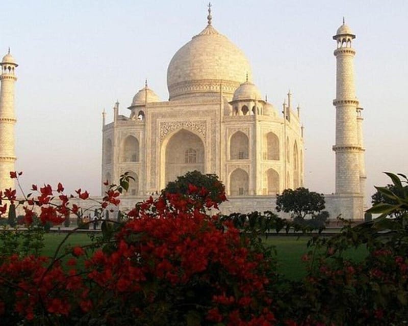 Agra: Taj Mahal Guide Tour Skip-the-Line Entry - Tour Guide and Languages