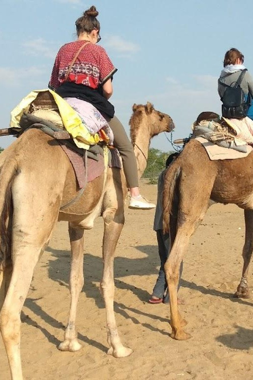 Agra Tour Package From Delhi - Transportation and Group Size