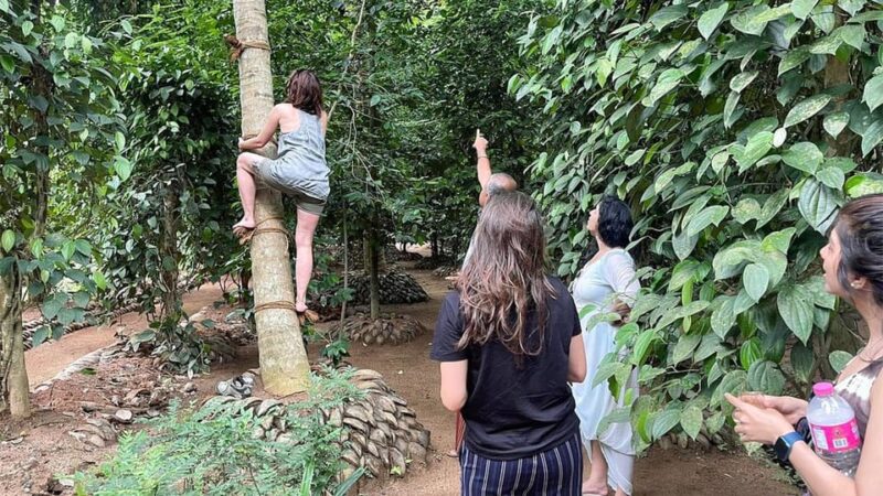 Agriculture, Gem Mine and Village Experience From Udawalawe - Gem Mining Adventure