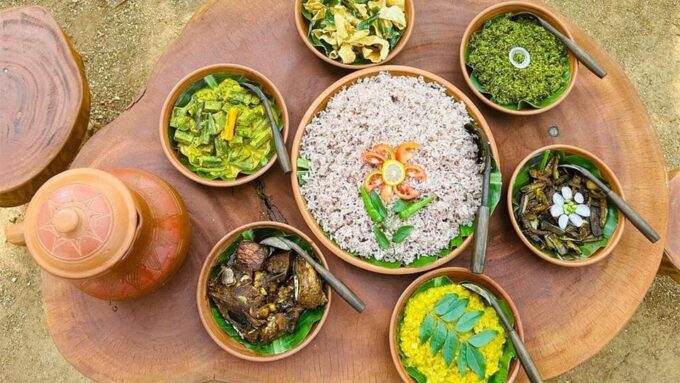 Agriculture, Gem Mine and Village Experience From Udawalawe - Reservation and Cancellation Policy