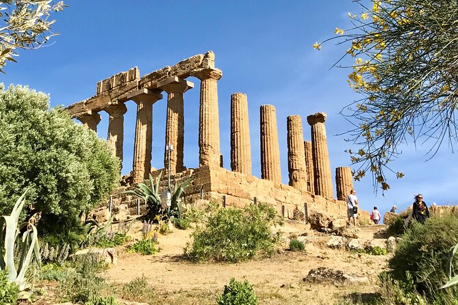AGRIGENTO and WINERY Private Tour With Guide Driver - Local Winery Experience