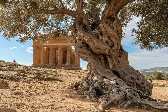Agrigento to Siracusa with Valley of Temples and Roman Villa Trip - FAQ