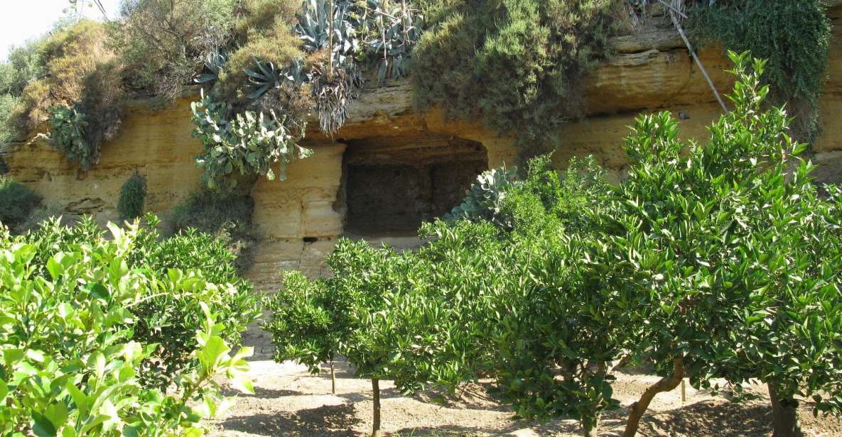 Agrigento Valley of the Temples and Kolymbethra Private Tour - Doric Architecture Marvels