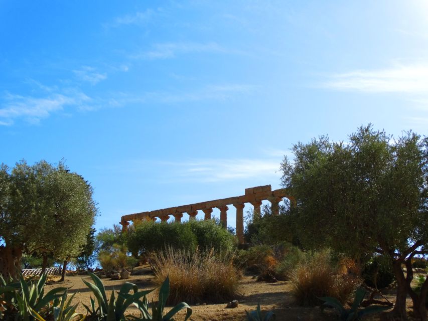 Agrigento: Valley of the Temples Private Tour - Colossal Temple of Concordia