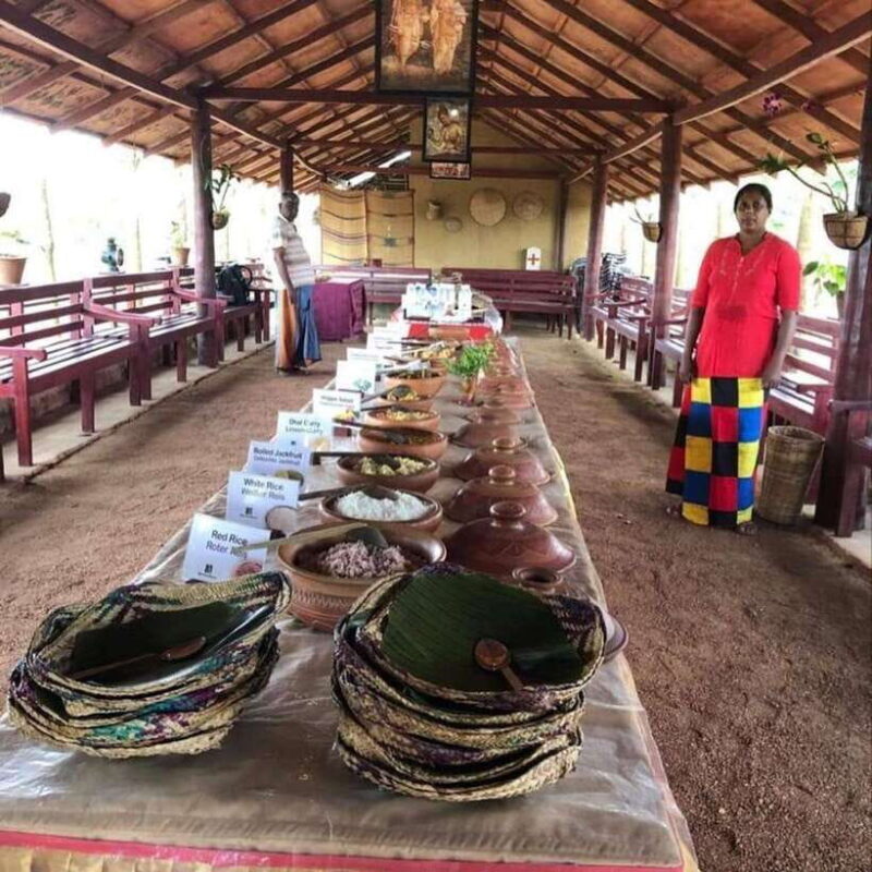 Agro village: guided walking tour and local lunch - An Introduction to the Agro Village Experience