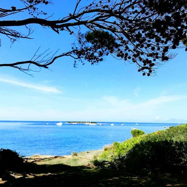 Agropoli: Boat Tour Along the Cilento Coast - Meeting Point and Essentials