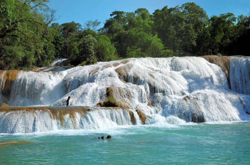 Agua Azul, Misol-Ha & Palenque Ruins From San Cristobal - Tour Itinerary