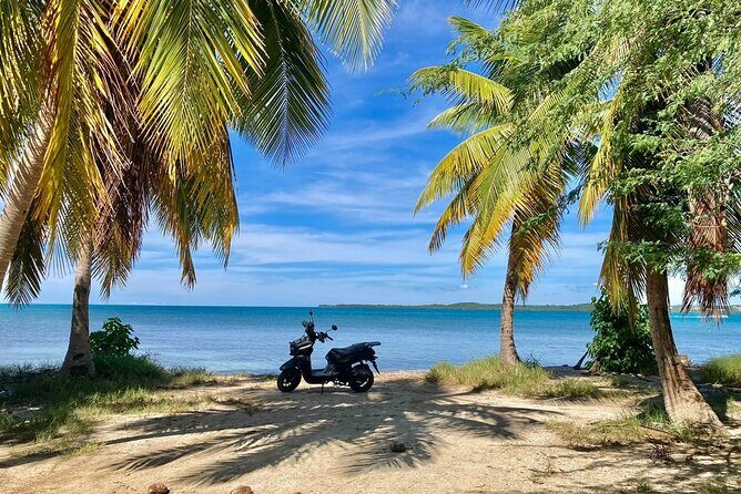 Aguadilla Speed Scooter Self Guided Rental - What to Expect from the Experience