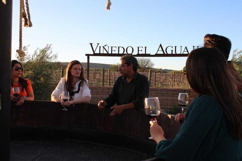 Aguascalientes: Magical Town and Vineyard Tour - The Sum Up