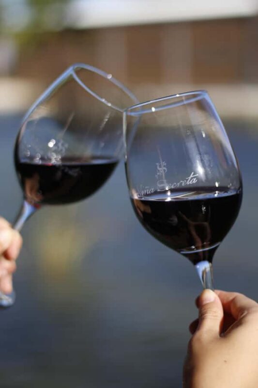 Aguascalientes: Wine Tour - Who Will Enjoy This Tour?