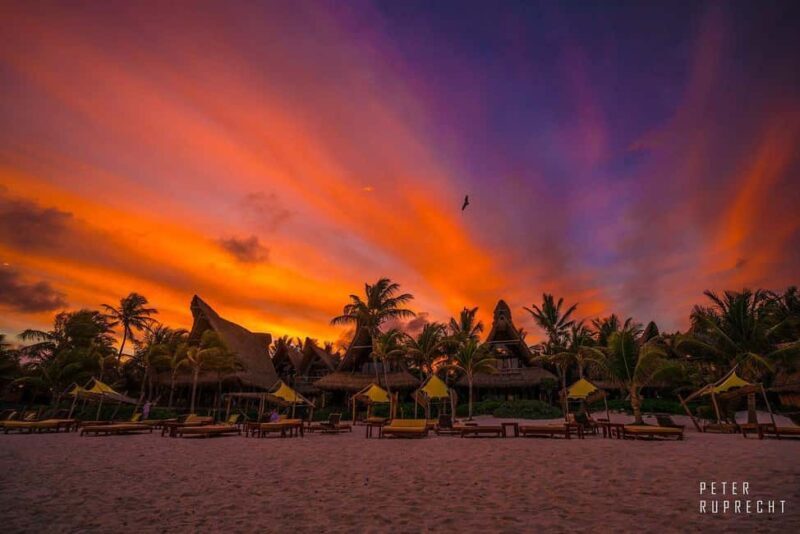 Ahau de Noche: Dinner under the stars and iconic art in Tulum - The value: How does it compare?