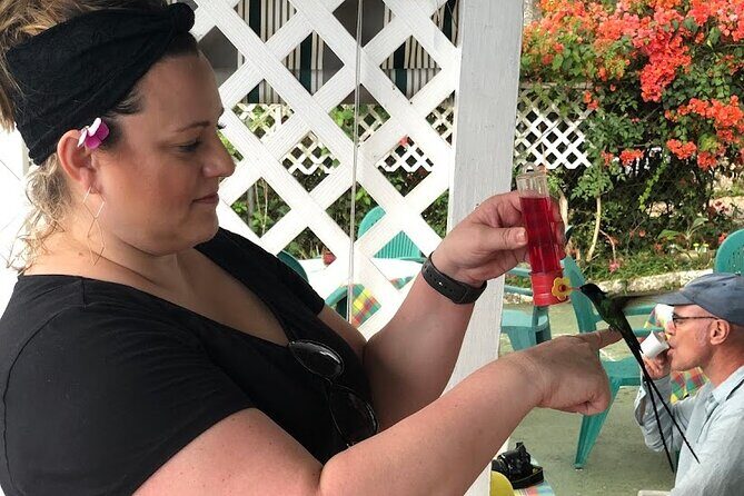 Ahhh Ras Natango Gallery and Garden Private Tour &Transportation - The Sum Up