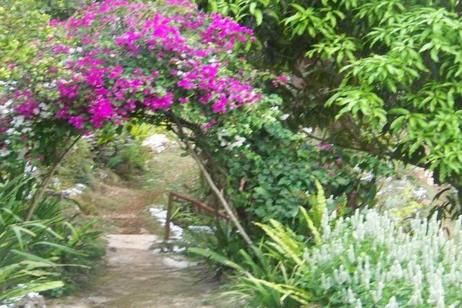 Ahhh Ras Natango Gallery and Garden Private Transfer - The Seasonal Juice Finale