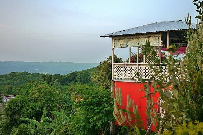 Ahhh Ras Natango Gallery and Garden Private Transfer - The Sum Up