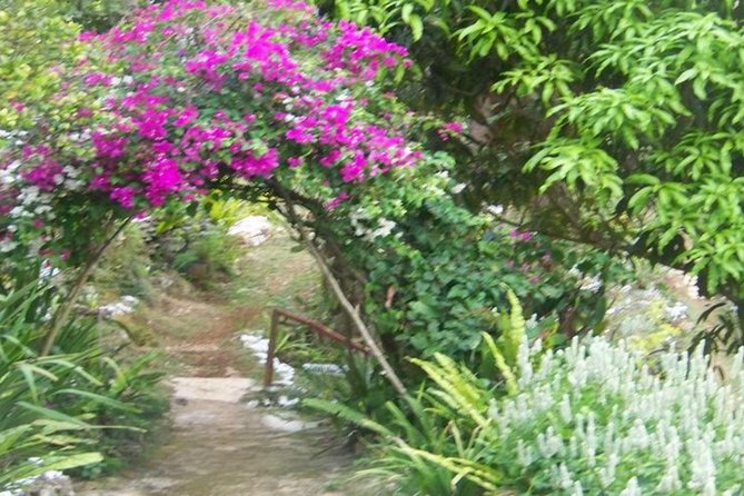 Ahhh Ras Natango Gallery and Garden Private Transfer - Exploring the Gallery and Garden
