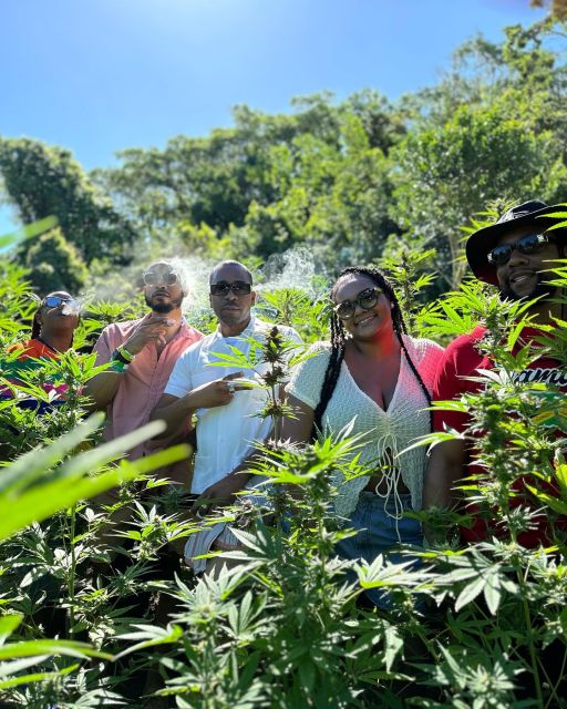 Ahhh Ras Natango Gallery and Garden With D Boss Farm Tour - Tour Duration and Inclusions