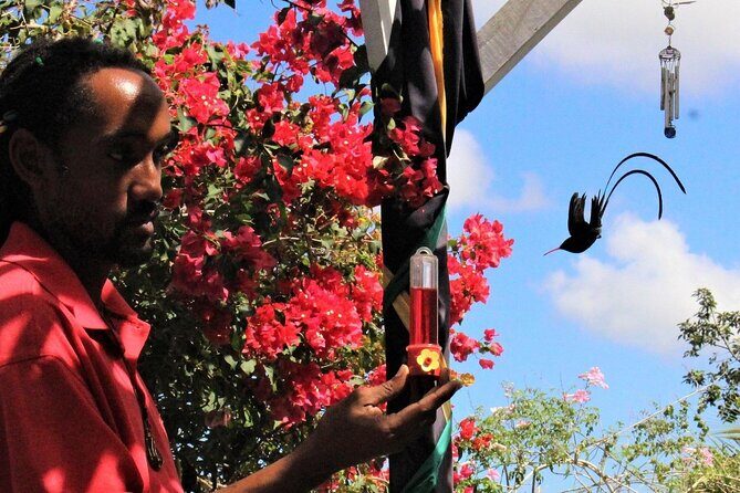 Ahhh Rasnatango Gallery and Garden - Practical Considerations